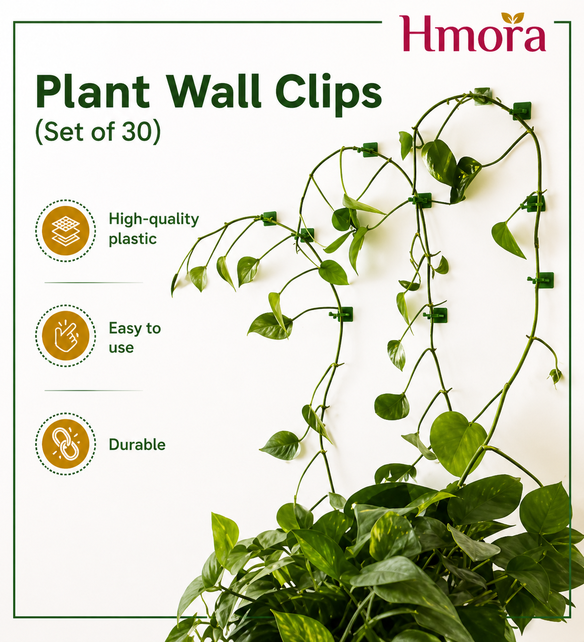 HMORA Plant Climbing Wall Clips, with Self-Adhesive, Money Plant Support Clips, Vine Plants Fixing Clips, Invisible Hook Plant Clips for Climbers, Clips, Key Holder, Wires, Ropes