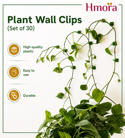 HMORA Plant Climbing Wall Clips, with Self-Adhesive, Money Plant Support Clips, Vine Plants Fixing Clips, Invisible Hook Plant Clips for Climbers, Clips, Key Holder, Wires, Ropes
