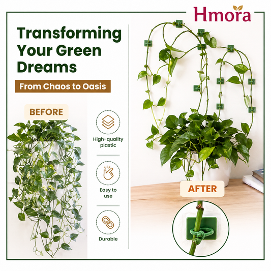 HMORA Plant Climbing Wall Clips, with Self-Adhesive, Money Plant Support Clips, Vine Plants Fixing Clips, Invisible Hook Plant Clips for Climbers, Clips, Key Holder, Wires, Ropes